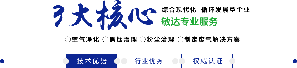 中国大鸡巴操一起操日本两个小逼小说敏达环保科技（嘉兴）有限公司